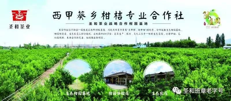 圣和茶业邀您参与第14届中国(深圳)国际茶产业博览会_文化_网